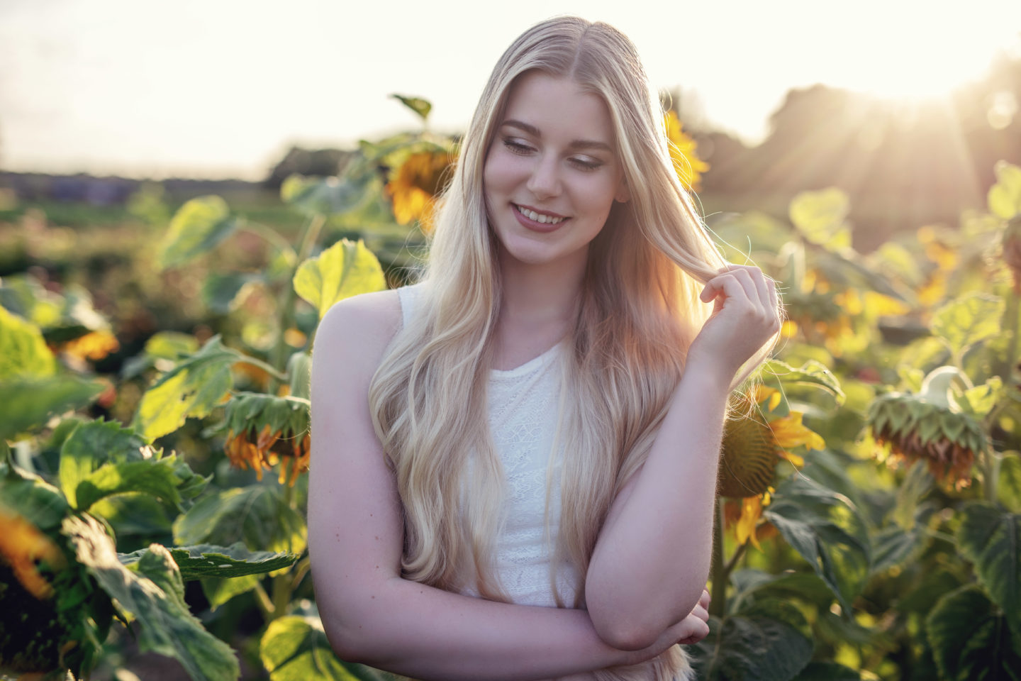 benita in laechelnd in einem sonnenblumenfeld